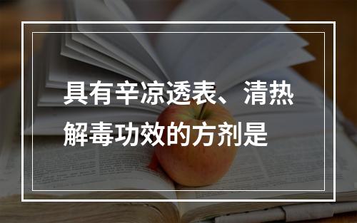 具有辛凉透表、清热解毒功效的方剂是