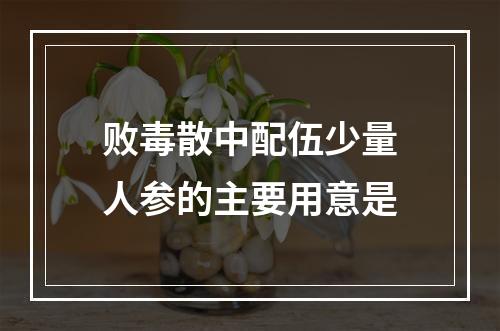 败毒散中配伍少量人参的主要用意是