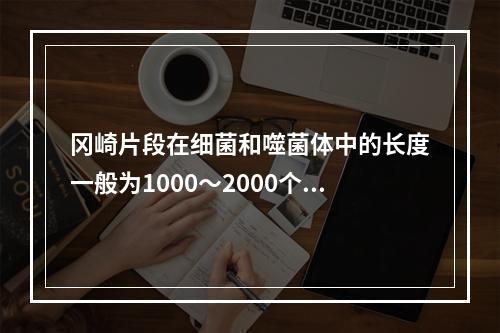 冈崎片段在细菌和噬菌体中的长度一般为1000～2000个核苷