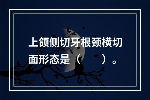 上颌侧切牙根颈横切面形态是（　　）。