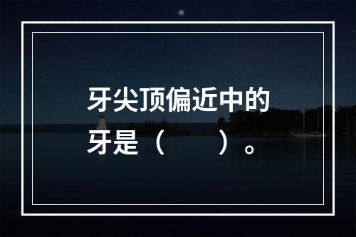 牙尖顶偏近中的牙是（　　）。