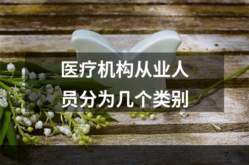 医疗机构从业人员分为几个类别