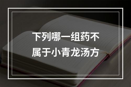 下列哪一组药不属于小青龙汤方