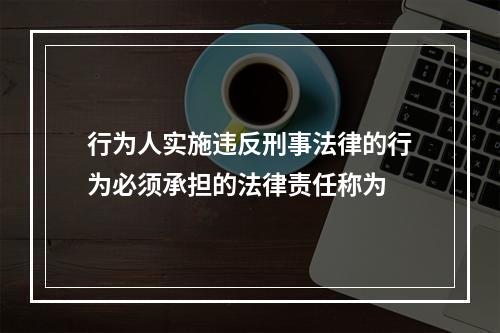 行为人实施违反刑事法律的行为必须承担的法律责任称为