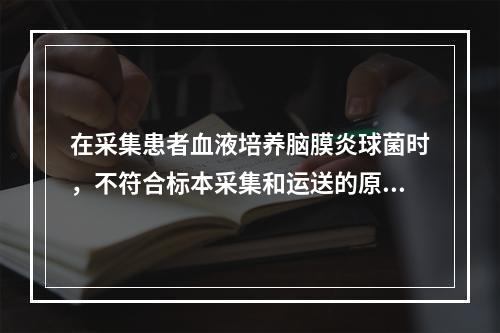 在采集患者血液培养脑膜炎球菌时，不符合标本采集和运送的原则是