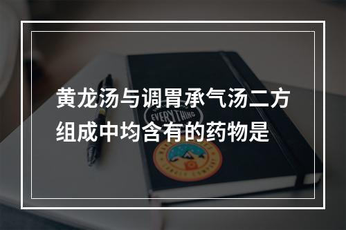 黄龙汤与调胃承气汤二方组成中均含有的药物是