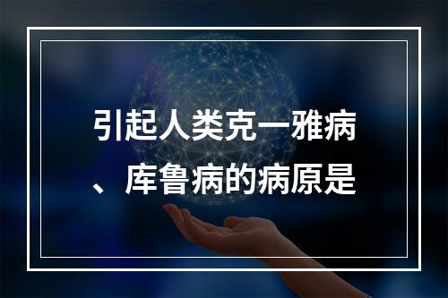 引起人类克一雅病、库鲁病的病原是