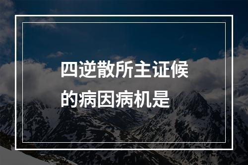 四逆散所主证候的病因病机是