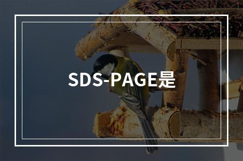 SDS-PAGE是