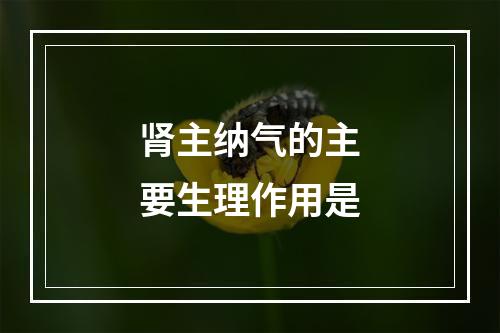 肾主纳气的主要生理作用是