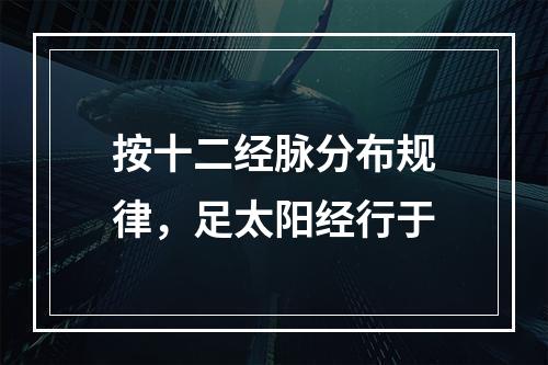 按十二经脉分布规律，足太阳经行于