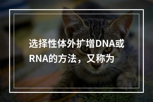 选择性体外扩增DNA或RNA的方法，又称为