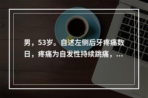 男，53岁。自述左侧后牙疼痛数日，疼痛为自发性持续跳痛，不能