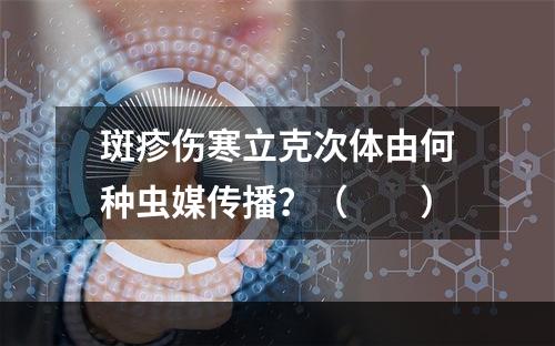 斑疹伤寒立克次体由何种虫媒传播？（　　）