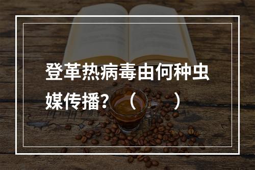 登革热病毒由何种虫媒传播？（　　）