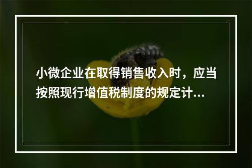 小微企业在取得销售收入时，应当按照现行增值税制度的规定计算应