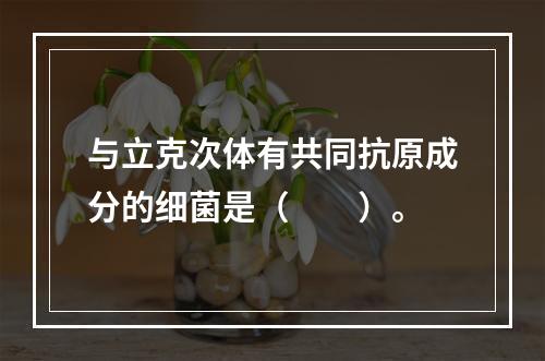 与立克次体有共同抗原成分的细菌是（　　）。