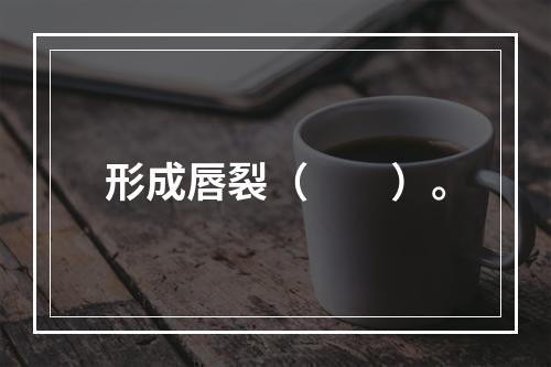 形成唇裂（　　）。