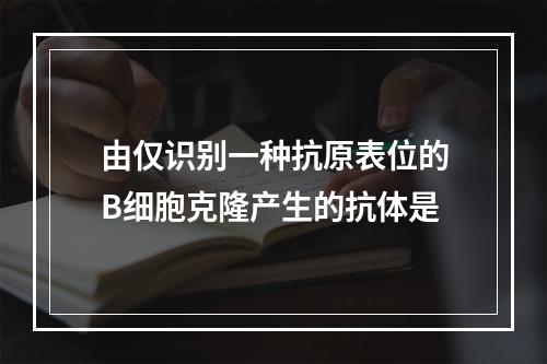 由仅识别一种抗原表位的B细胞克隆产生的抗体是