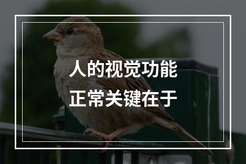 人的视觉功能正常关键在于