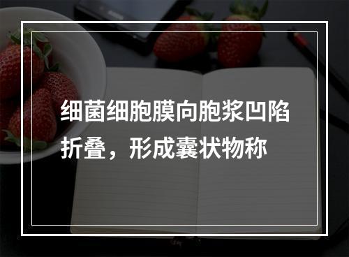 细菌细胞膜向胞浆凹陷折叠，形成囊状物称