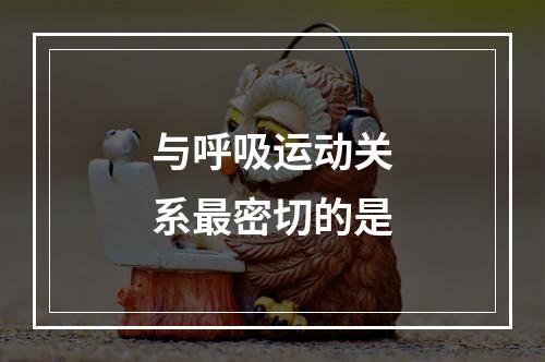 与呼吸运动关系最密切的是