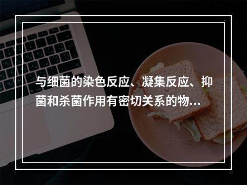 与细菌的染色反应、凝集反应、抑菌和杀菌作用有密切关系的物理性