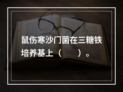 鼠伤寒沙门菌在三糖铁培养基上（　　）。