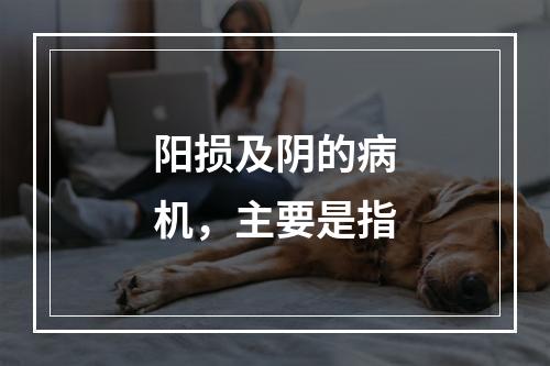 阳损及阴的病机，主要是指