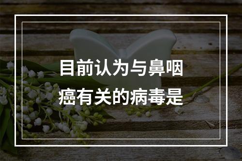 目前认为与鼻咽癌有关的病毒是