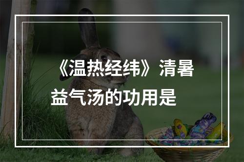 《温热经纬》清暑益气汤的功用是