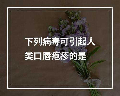 下列病毒可引起人类口唇疱疹的是