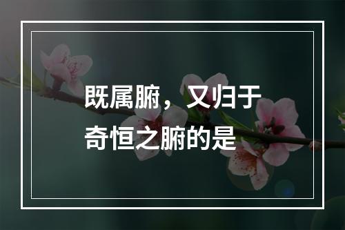 既属腑，又归于奇恒之腑的是