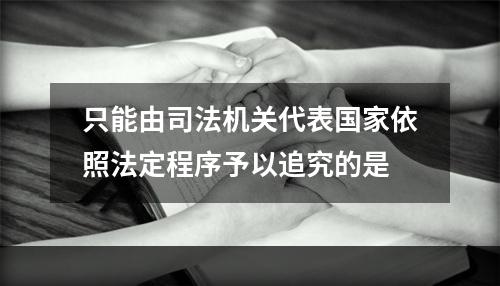 只能由司法机关代表国家依照法定程序予以追究的是