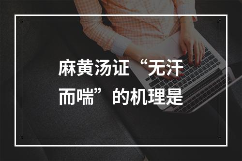 麻黄汤证“无汗而喘”的机理是