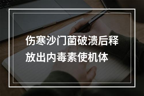 伤寒沙门菌破溃后释放出内毒素使机体