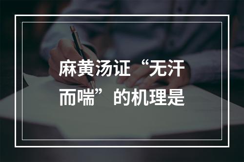 麻黄汤证“无汗而喘”的机理是