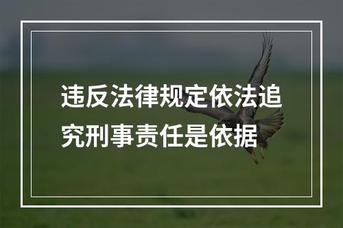 违反法律规定依法追究刑事责任是依据