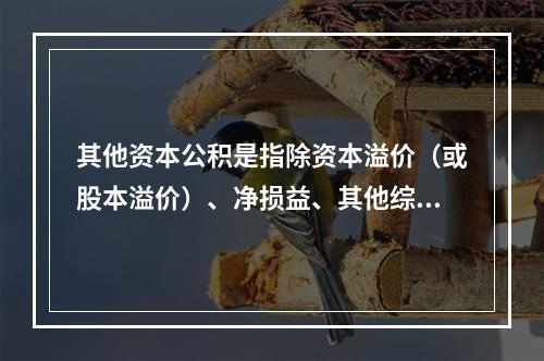 其他资本公积是指除资本溢价（或股本溢价）、净损益、其他综合收