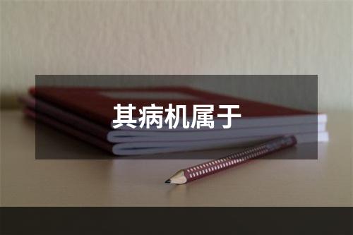 其病机属于