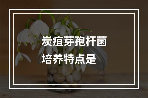 炭疽芽孢杆菌培养特点是