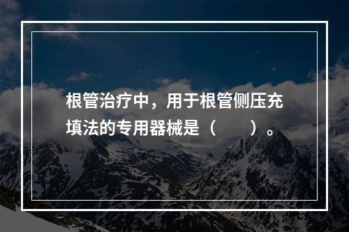 根管治疗中，用于根管侧压充填法的专用器械是（　　）。