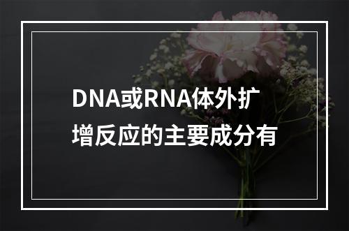 DNA或RNA体外扩增反应的主要成分有