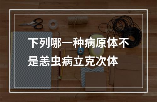 下列哪一种病原体不是恙虫病立克次体