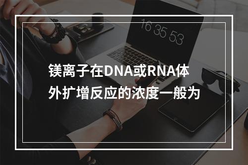 镁离子在DNA或RNA体外扩增反应的浓度一般为