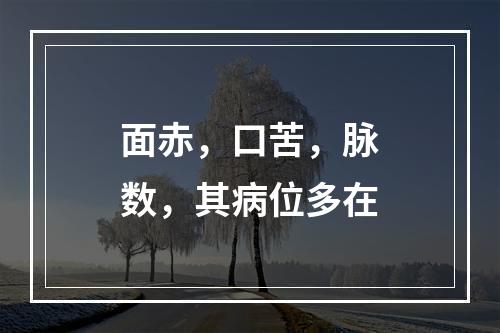 面赤，口苦，脉数，其病位多在