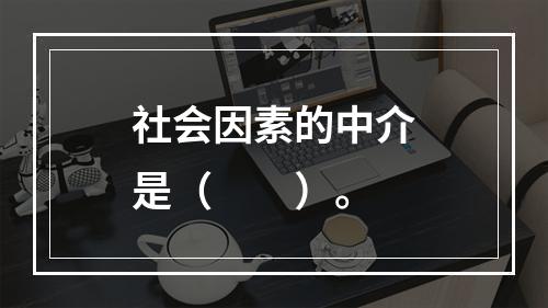 社会因素的中介是（　　）。