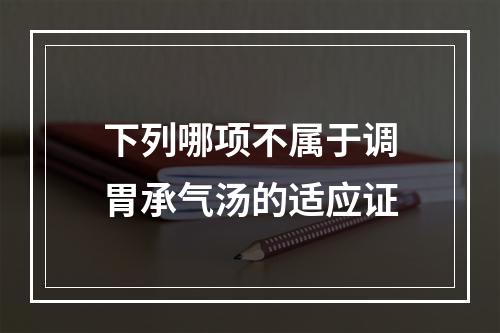 下列哪项不属于调胃承气汤的适应证