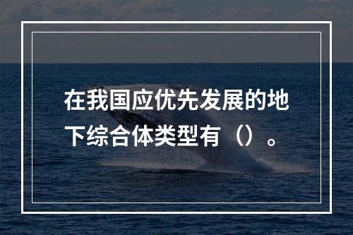 在我国应优先发展的地下综合体类型有（）。