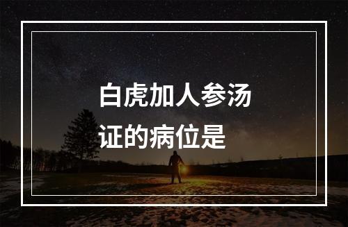 白虎加人参汤证的病位是